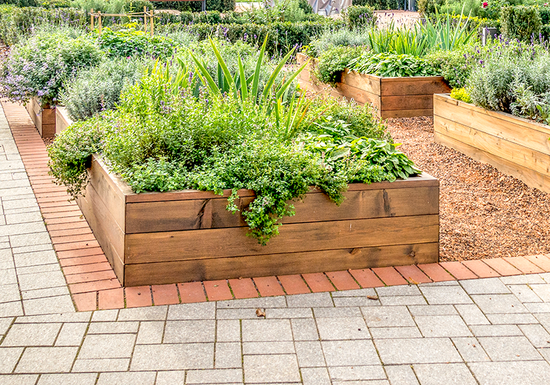 Consulting + Training: Skilled Nursing Consulting + Training: Skilled Nursing