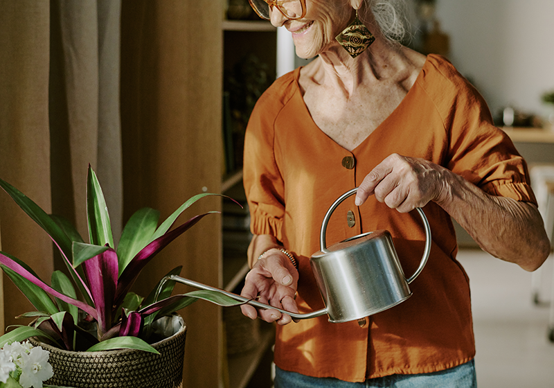 Consulting + Training: Small House Model Consulting + Training: Small House Model