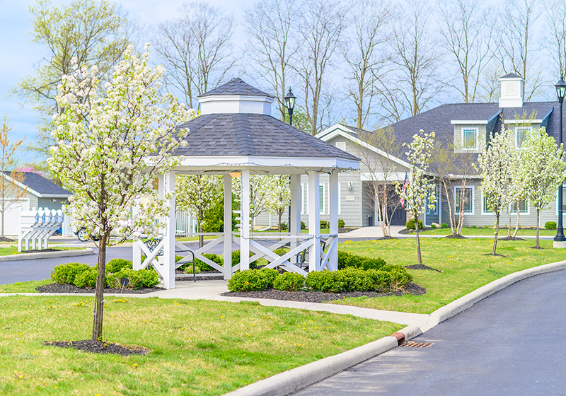 Home: Green House Homes