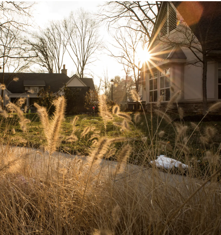 A Better Kind of Nursing Home A Better Kind of Nursing Home