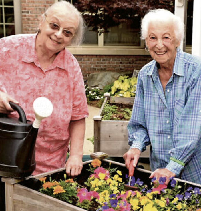 Empowering our elders