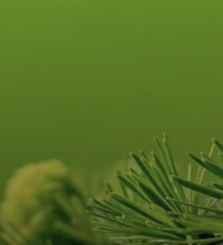 Legacy Lifecare CEO Advocates for Specialized Support To Curb Nursing Home Closures Legacy Lifecare CEO Advocates for Specialized Support To Curb Nursing Home Closures