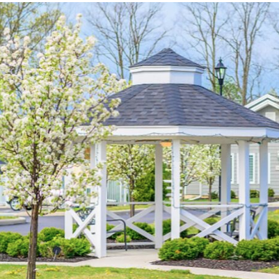 AgingIN, Southern Administrative Services launch Green House initiative to build skilled nursing capacity AgingIN, Southern Administrative Services launch Green House initiative to build skilled nursing capacity